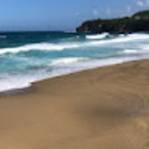 Meet your Posher, Sofia